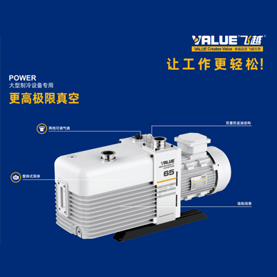 浙江飞越/VRD-65 VRD双级旋片真空泵